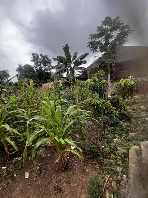 Fully Registered Plot for Sale at Adenta Ritz Junction