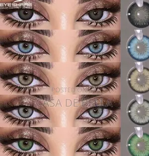 Contact Lenses