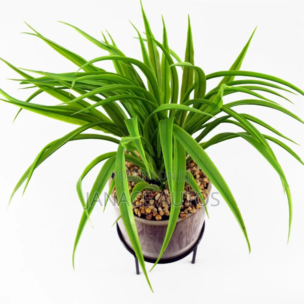 Leaf Artificial Grass in Ceramic Planter and Metal Stand 35cm