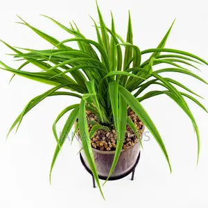 Leaf Artificial Grass in Ceramic Planter and Metal Stand 35cm