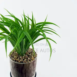 Leaf Artificial Grass in Ceramic Planter and Metal Stand 35cm