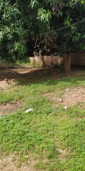 Quarter Plot of Land for Sale at Amasaman Fise