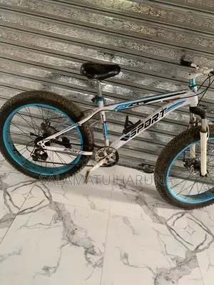 Spot Bicycle
