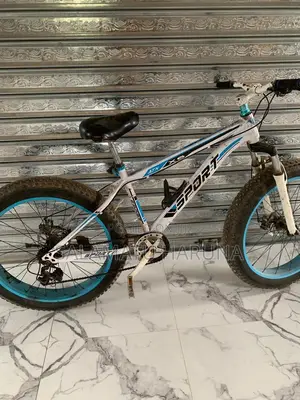 Spot Bicycle