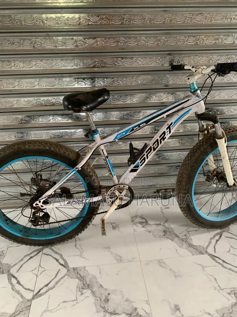 Spot Bicycle