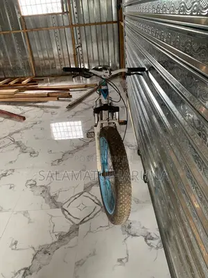 Spot Bicycle