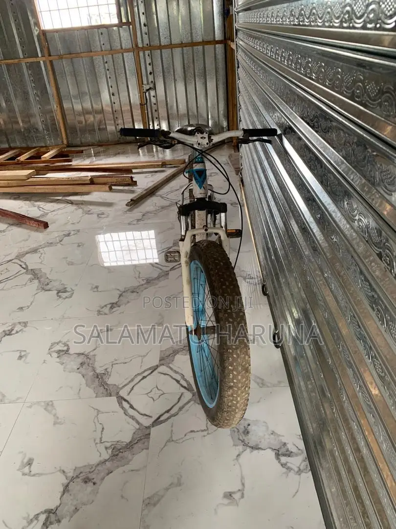 Spot Bicycle