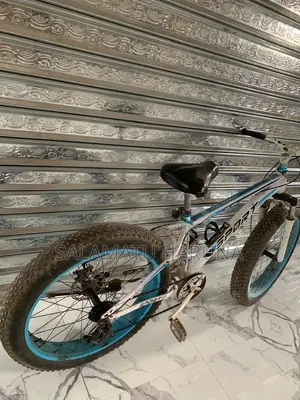 Spot Bicycle