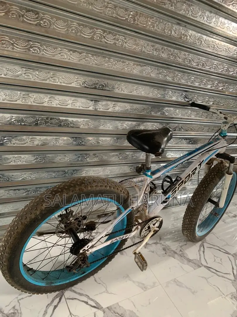 Spot Bicycle