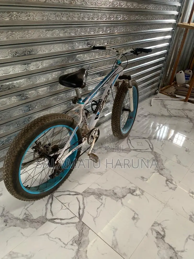 Spot Bicycle