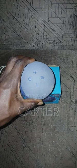 Echo Dot With Charger