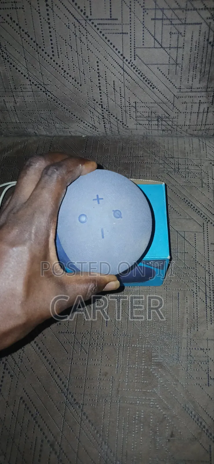 Echo Dot With Charger