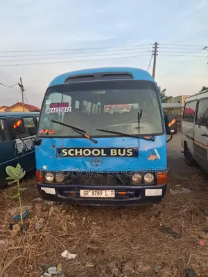 Toyota Coaster 1995 Blue