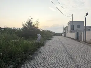 Registered Land for Sale at Amrahia