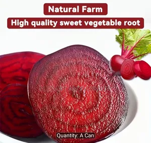 Beetroot Powder 300grams,pure High Quality for Fiber and Minerals