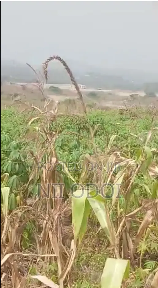 Plots for Sale at Kasoa Ahentia After Budumburam