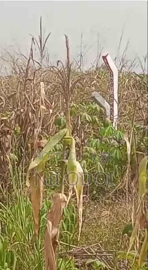 Plots for Sale at Kasoa Ahentia After Budumburam