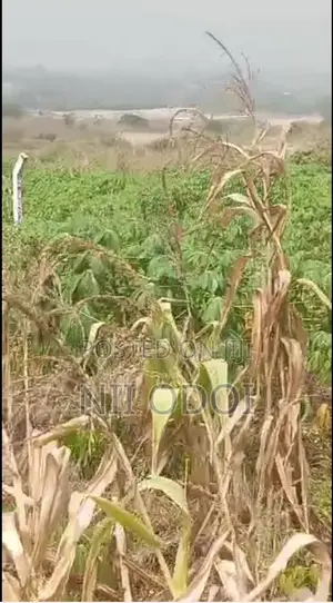 Plots for Sale at Kasoa Ahentia After Budumburam