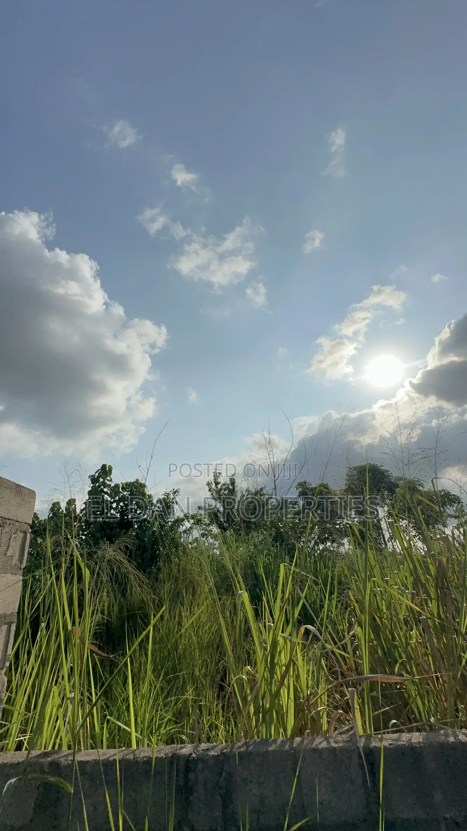 Walled Land for Sale in a Developed Area