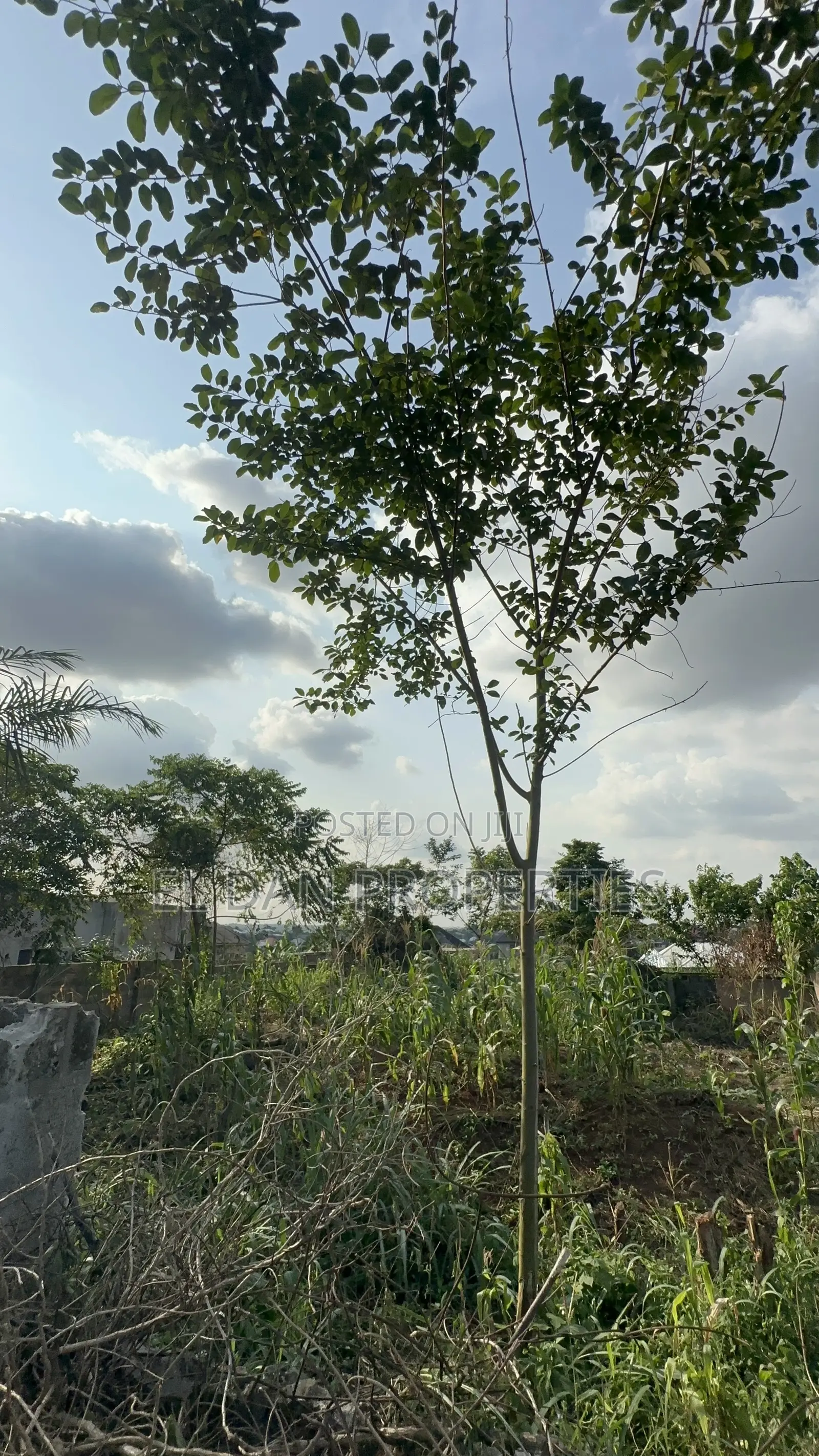 Walled Land for Sale in a Developed Area