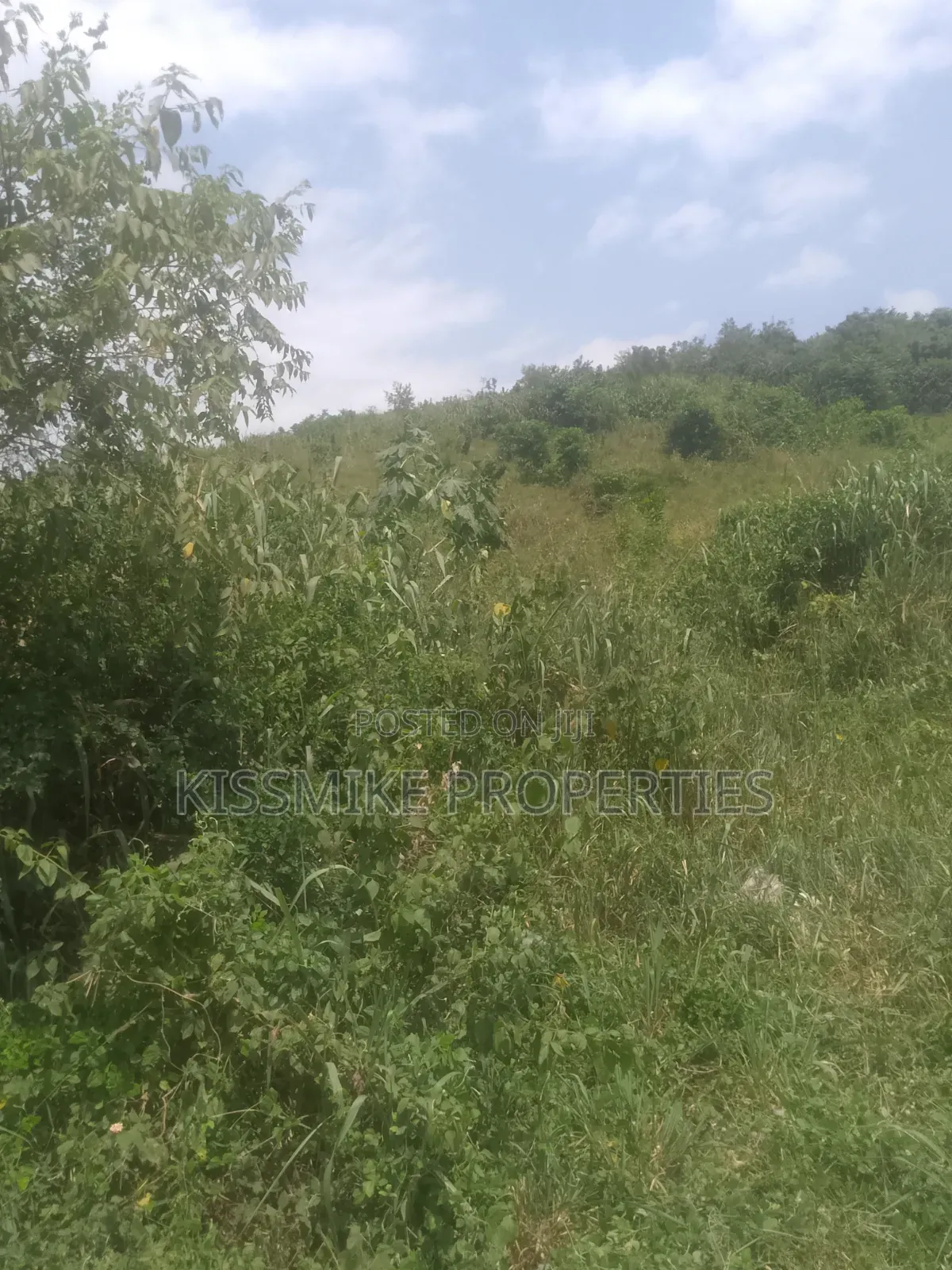 Farmland for Sale at Adeiso