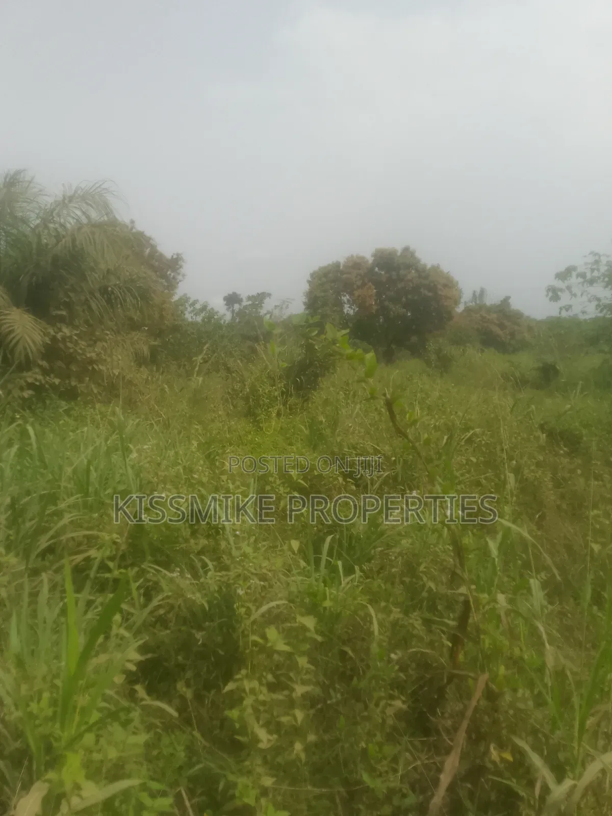 Farmland for Sale at Adeiso