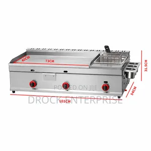 Gas Grille With Deep Fryer