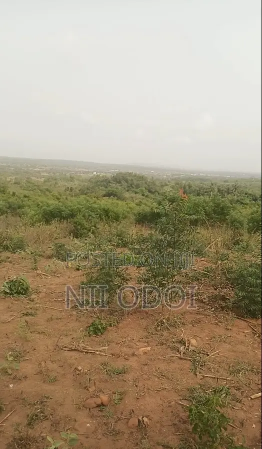 Senya Osam Land Between Senya Beraku Ans Ojobi for Sale