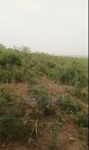 Senya Osam Land Between Senya Beraku Ans Ojobi for Sale
