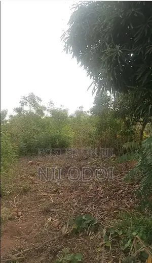 Senya Osam Land Between Senya Beraku Ans Ojobi for Sale