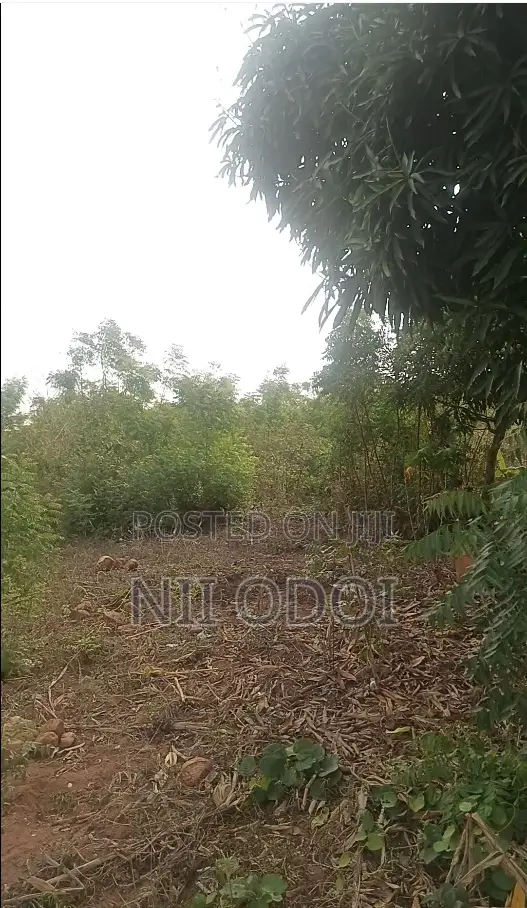 Senya Osam Land Between Senya Beraku Ans Ojobi for Sale