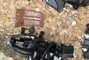 Nissan Pathfinder 2023 Driver's Rear Door Wires