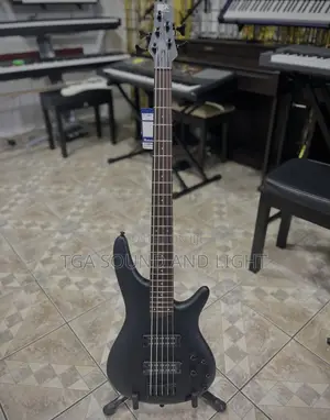 Ibanez SR305E 5 Strings Active Bass Guitar