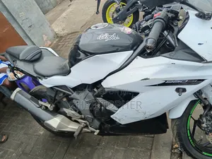 Kawasaki EX250 2019 White