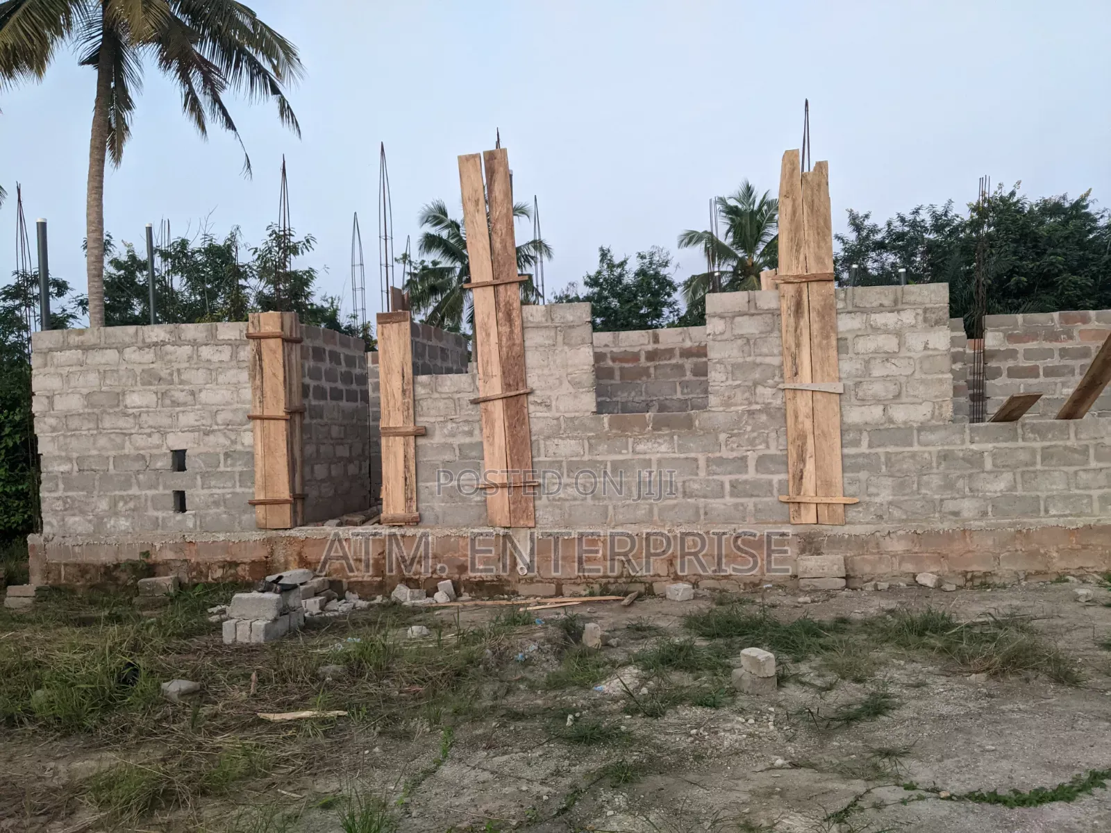 Professional Painter and Mason for Building