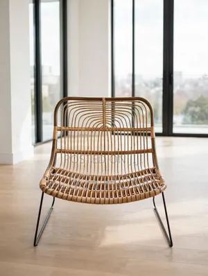 Stylish and Durable Lounge Chair