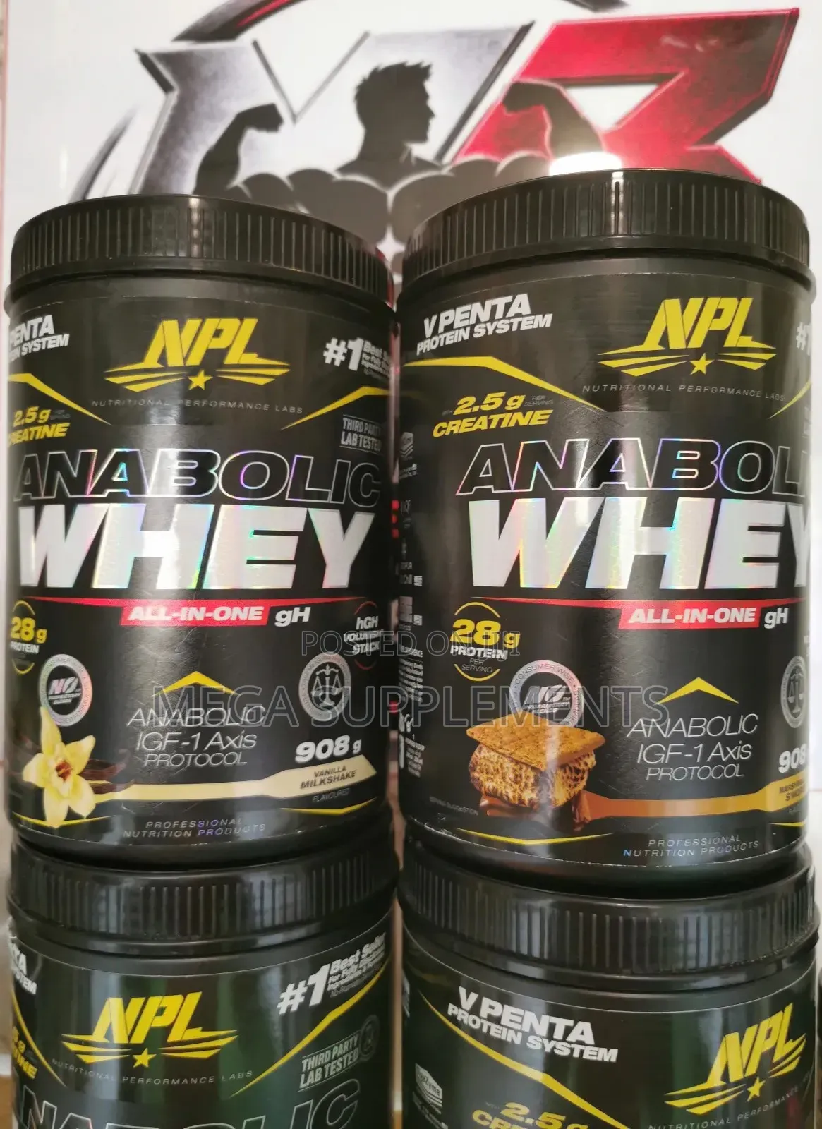 Anabolic Whey Protein 2lbs