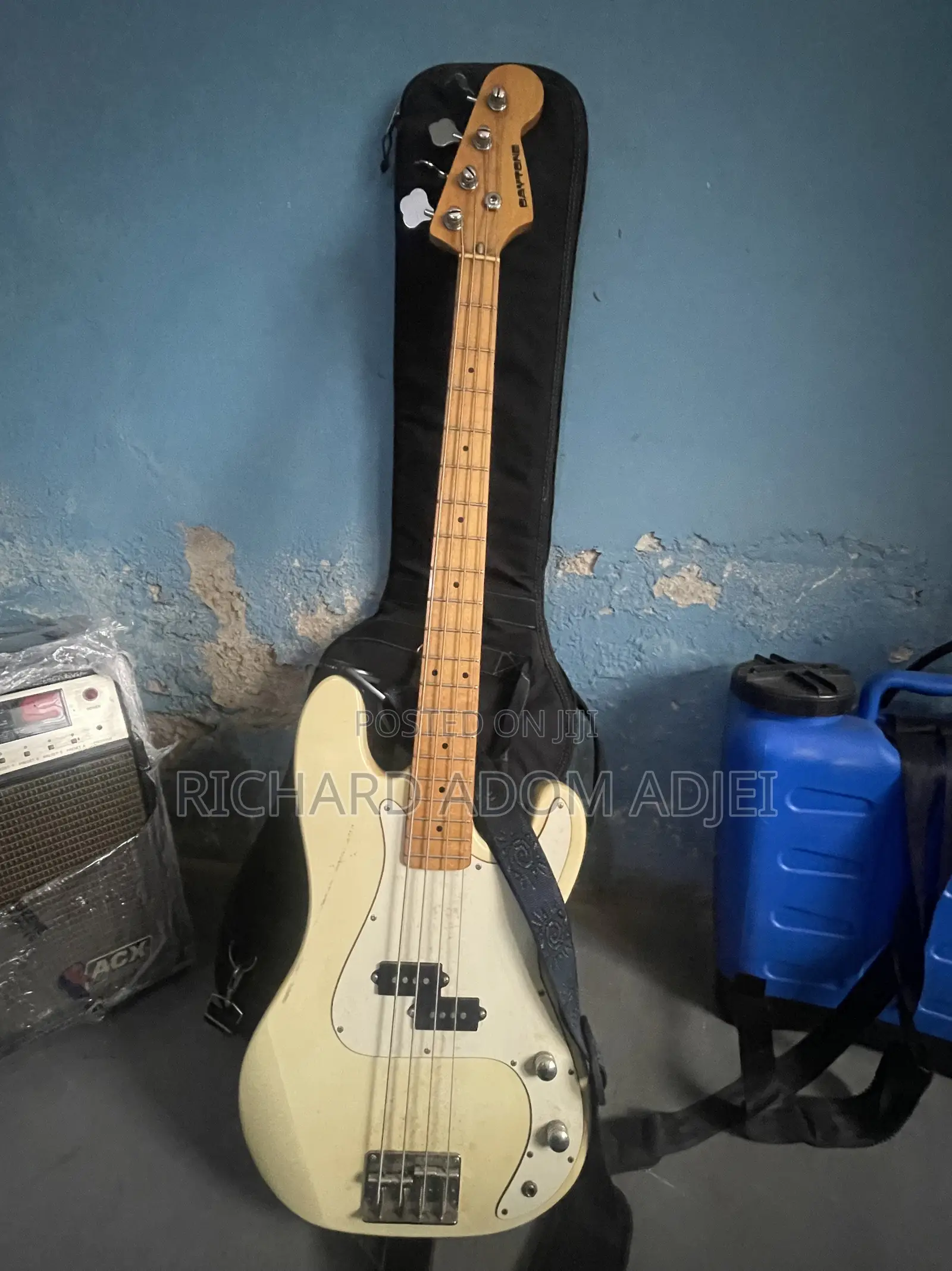 Baytone Bass Guitar