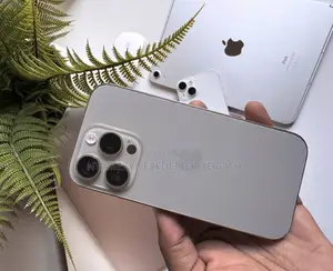 Apple iPhone 16 Pro 256 GB Silver