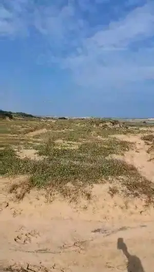 Titled Beachfront Land for Sale in Old Ningo, Ningo-Prampram, 85 Plots