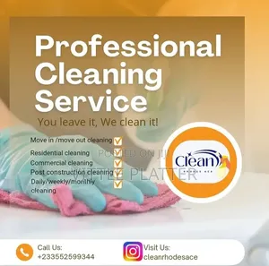 Professional Cleaning Service