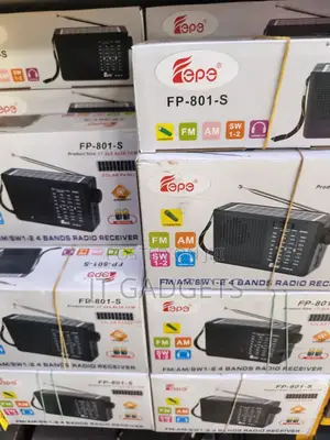 Multi-Band Portable Radio — Music, News & Entertainment Anywhere!