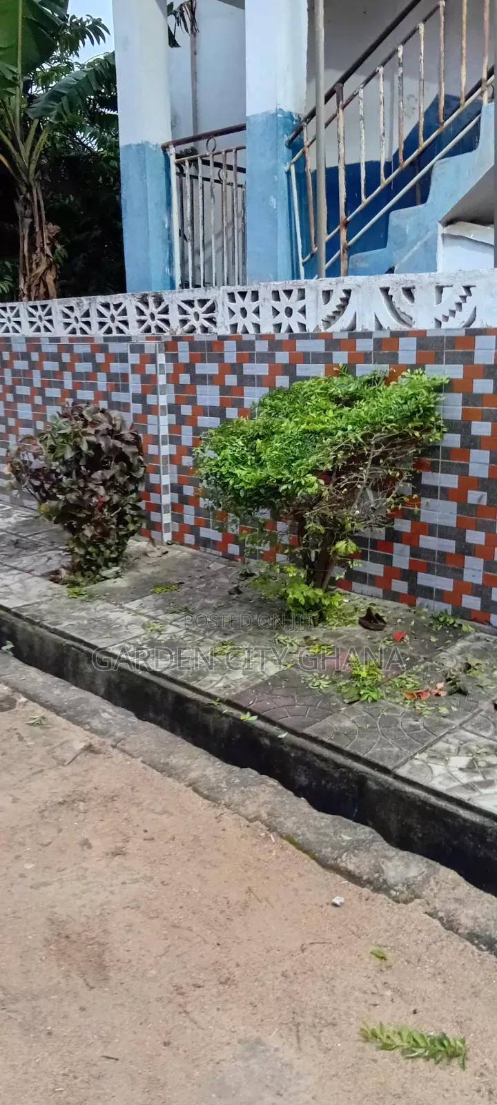 Flowers and Flower Pot