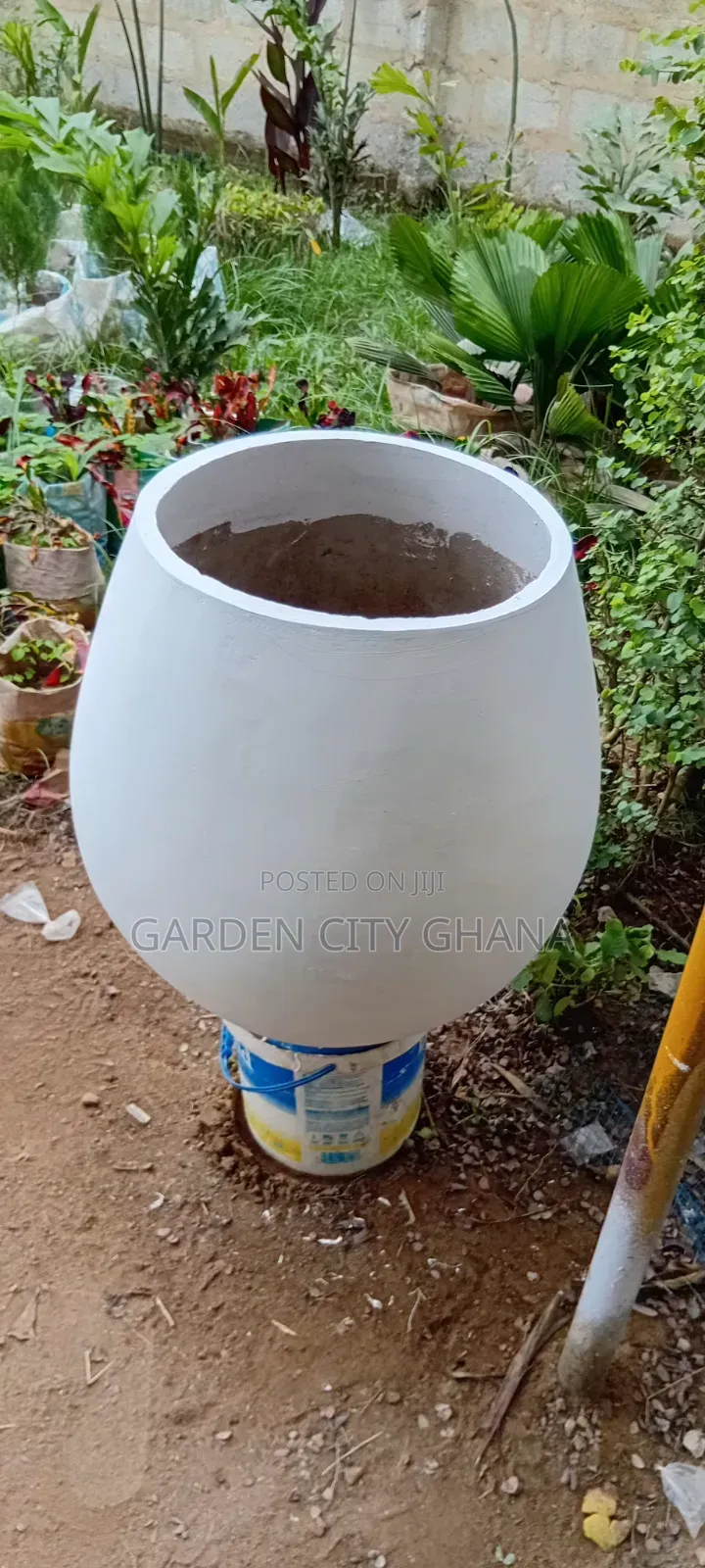 Flowers and Flower Pot