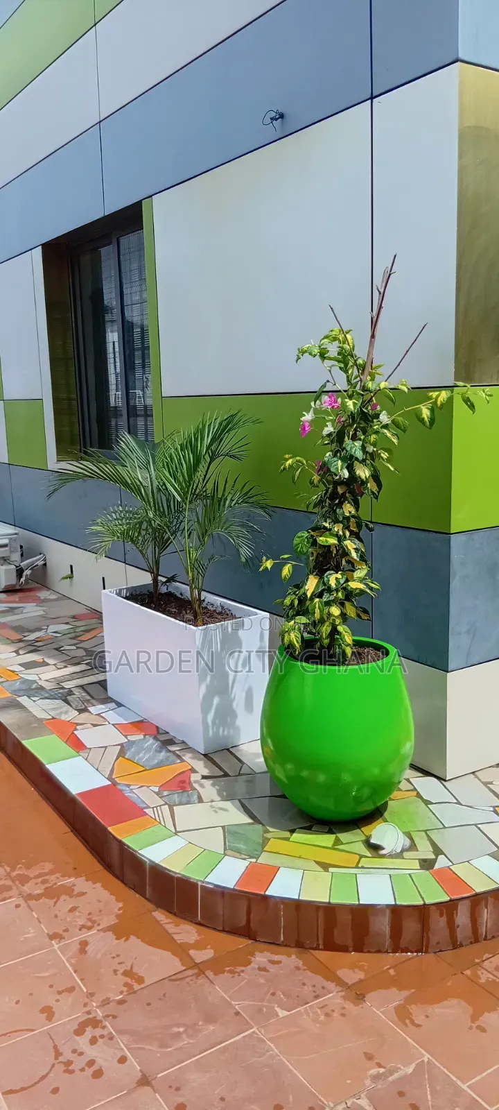 Flowers and Flower Pot