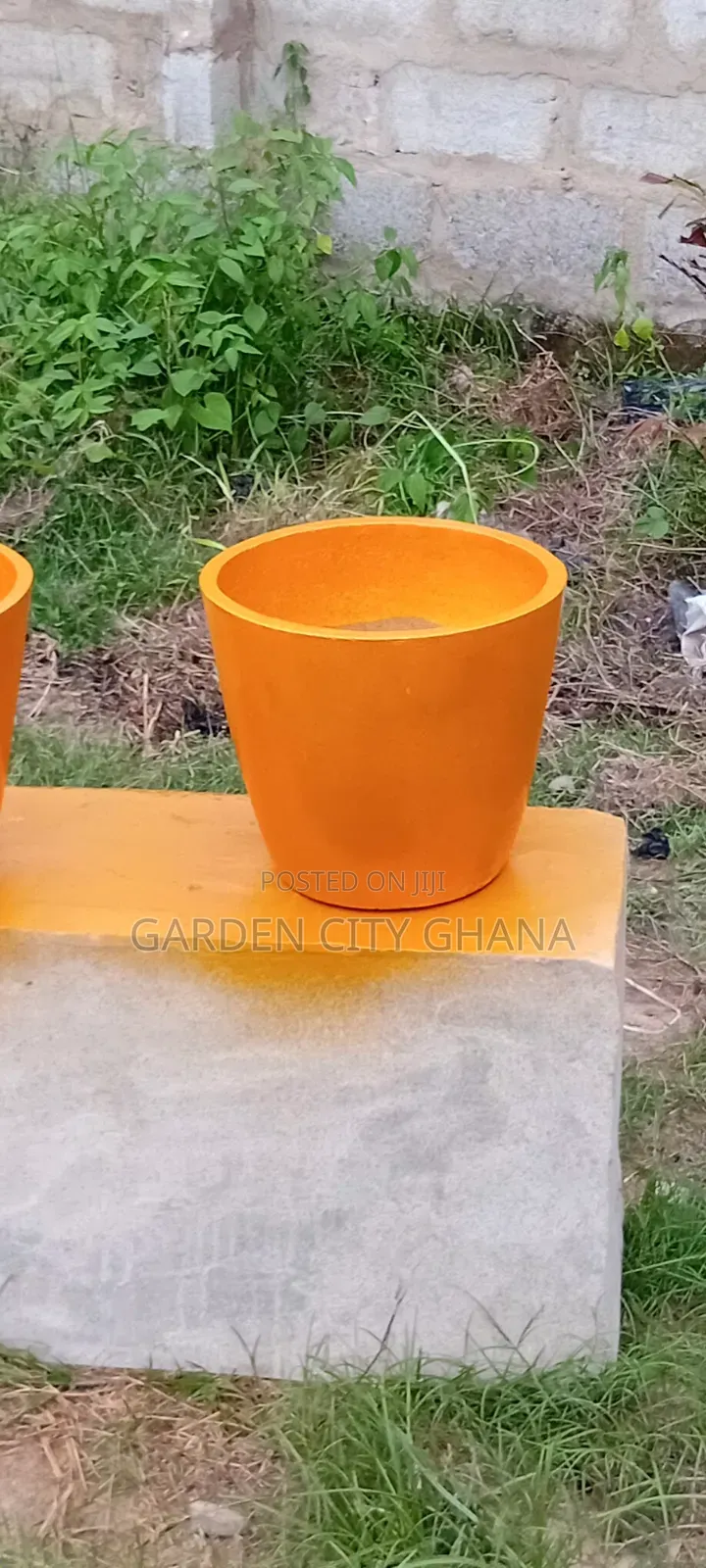 Flowers and Flower Pot