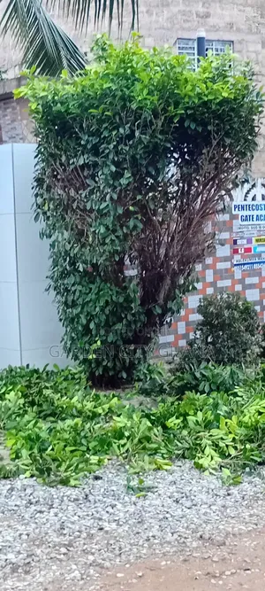 Garden Cityservices