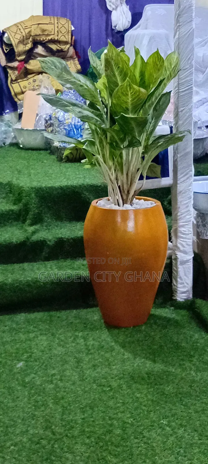 Garden Cityservices