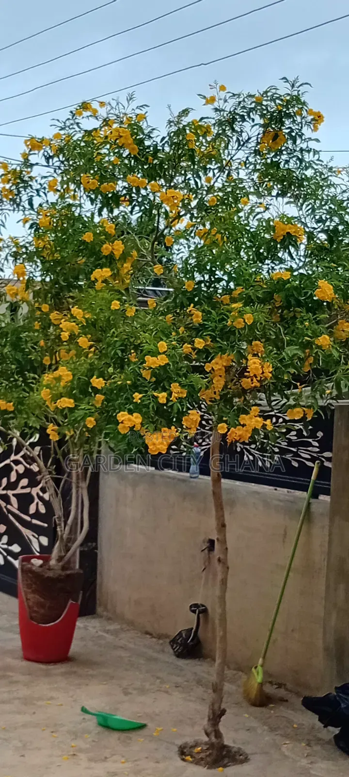 Garden Cityservices