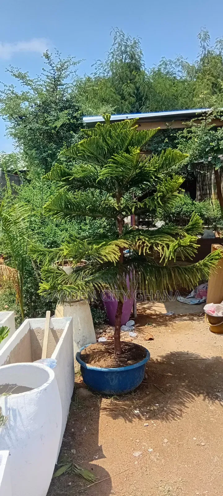 Garden Cityservices